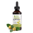 Estratto di foglie di ulivo Maxx Herb – Assorbenti liquidi Oleuropei Max Strength Meglio di capsule o tè, per il supporto immunitario, la salute del cuore e il benessere stagionale - Bottiglia da 4 Oz (60 Serve)