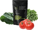 Polvere di Greens Superfood Organico con MSM, per la salute del fegato, la digestione, il supporto immunitario, l'energia e altro (gratuito dell'acero, non OGM, Keto, Vegan), 60 Servings, alimentazione di 30 giorni
