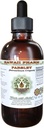 Estratto di liquido senza alcool di prezzemolo, Parsley (Petroselinum Crispum) Root Glycerite Natural Herbal Supplement, Hawaii Pharm, USA 2 fl.oz