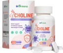 Prenatal Choline Supplemento, 500 mg, con Inositol, B1, B6, sviluppo del cervello in Utero / Vita estrema, aumentare il contenuto di colina nel latte materno, 30 giorni di alimentazione