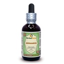 Ashwagandha (Withania Somnifera) Glycerite, Estratto liquido senza alcool di radice secca organica 2 oz