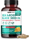 Moss mare con olio di semi neri, Ashwagandha, Turmeric & Moringa – Immune, Joint & Skin Support Supplement – 60 capsule – Vital Herbal – Lab-Tested, Non-GMO, Made in USA