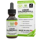 Benevolente clorofilla gocce liquide - Detox & supporto immunitario, Deodorizer interno & Skin Health Supplement, Non-GMO, 4 mesi di alimentazione, Natural Mint Flavor