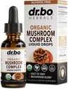 Organic Lions Mane Mushroom Complex - Integratore di funghi Tintura di gocce liquide per messa a fuoco, nebbia, integratori di salute del cervello - Vegan, Herbal Organic Lion's Mane Mushrooms, Reishi, Turchia Tail Extract 1oz