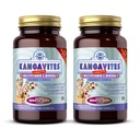 Solgar Kangavites, Bouncin’ Berry Flavor - 120 Chewable Tablets, Confezione da 2 - Multivitamin & Mineral Formula completa per bambini - Vegan, Gluten Free