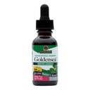Risposta della natura Radice dorata con alcool organico 1 oncia fluida | promuove il benessere complessivo | Supporto immunitario | Gluten-Free | Single Count