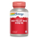 SOLARAY Red Yeast Rice Plus CoQ-10 & No-Flush Niacin Vitamina B-3, cuore sano & supporto cardiovascolare, non irradiato & Citrinin Free, 60 giorni di denaro indietro Garanzia, 90 Serve, 90 VegCaps