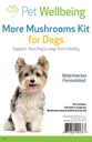 Pet Wellbeing More Mushrooms Kit per cani - Immune System Support and Antioxidant Protection - Vet-Formulato con tacchino, Reishi, Maitake, Astragalus