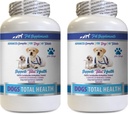 PET SUPPLEMENTARI & NUTRITION LLC Dog Dental Hygiene - Dogs Total Health Control - Supporto immunitario - Hair Skin Nails Oral Eye Health Formula - Oral Calcium for Dogs - 2 Bottiglie (120 Treats)