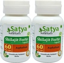 Shilajit Forte capsule 500 mg. 60 Veg. Capsule | Shilajit (Asphaltum) Estratto di capsule per gli uomini e le donne | Ayurvedic Herbal Supplement/Rimedies | 10:1 Forte (2 Bottiglie di 60 capsule)
