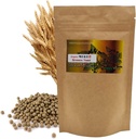 Pillola di lievito naturale di birra biologica 맥 Yogi 3.5 3.52 (100g) / Integratori per il supporto immunitario & sistema nervoso per donna & uomo