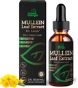 Estratto di foglie di Mullein per polmoni - Gocce di Mullein per il supporto di salute respiratorio Detox Cleanse polmonare - Vegan senza zucchero Gluten Free - Supplemento liquido per le donne 2fl. oz (60ml) (1 confezione)