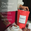 SAKARA Super Powder Bundle - Metabolism Super Powder, Chocolate & Fiber Super Powder, Hint of Pineapple - Aiuta la salute digestiva con polvere di supplemento di enzimi digestivi