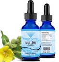 Absonutrix Mullein 300 mg, 4 Oz Liquid, 300 Serve, Made in USA, Assorbimento rapido, Qualità Potente Ingredienti, Non OGM, GMP Certified Facility, Cruelty-Free Products