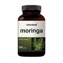 Estratto di caffè verde puro | Fatto con Moringa Polvere organica, 240 capsule – Superfood verde, salute della pelle, & supporto immunitario – Non-OGM, senza glutine, 4 mesi di alimentazione