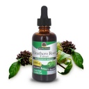 Risposta della natura Alcohol-Free Eleuthero Root, 2-Fluid Ounces | Vegan | No Preservatives Gluten Free Eleuthero Extract