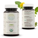 HerbEra Dandelion Leaf USDA Organic 60 Capsule | Natural Herbal Supplement | Capsule Vegetariani Organici Certificati e Dandelion Organico (Taraxacum Officinale) Foglia secca (60 Capsule)